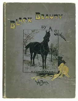 Edition Collection: Black Beauty Book / C19Th