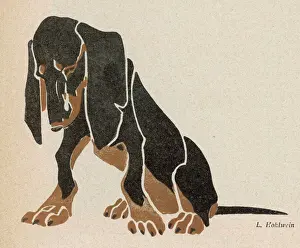 Black and brown Dachshund