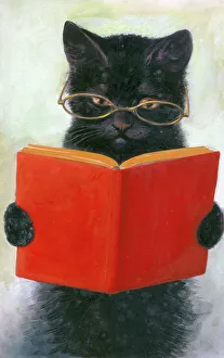 Black cat reading book