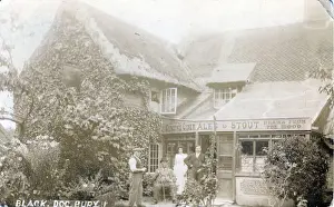 The Black Dog and Duck