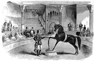 Murray Prints: Black Eagle at the Great United States Circus, London, 185