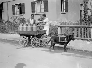 Churns Prints: Black Forest Milk Cart