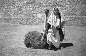 Tame Prints: Black girl with tamed ostrich, Holy Land
