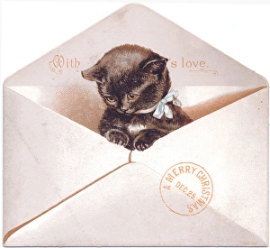 Paws Gallery: Black kitten in an envelope on a Christmas card