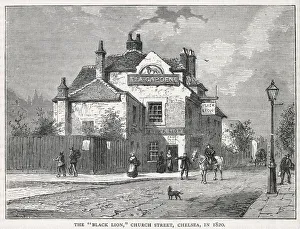 Images Dated 24th December 2019: BLACK LION, CHELSEA