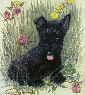 Buttercups Prints: Black puppy by Muriel Dawson