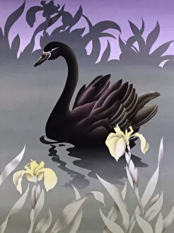 Airbrush Gallery: Black Swan