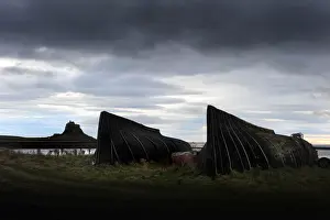 Northumberland Prints: Black tarred upturned boats used as sheds on Holy Island