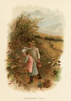 Black Berry Prints: Blackberry time / childrens book