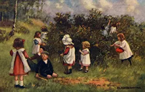 Blackberrying