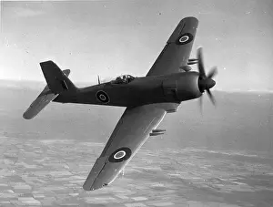 Blackburn B-46 Firebrand TF4 in flight