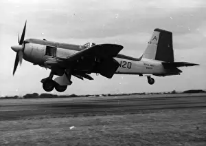 Firebrand Prints: Blackburn Firebrand TF5 EK777