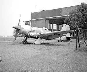 Benson Prints: Blackburn Firebrand TF.5A EK728