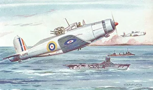 Blackburn Roc