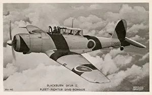 Cockpit Prints: Blackburn Skua II - Fleet-fighter Dive Bomber