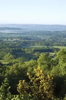 Blackdown / Black Down hill - 280 m / 919 feet
