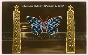 Bulbs Prints: Blackpool, Lancashire - Illuminated Butterfly
