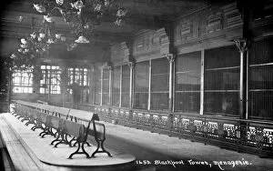 Menagerie Collection: Blackpool Tower Zoo 1900
