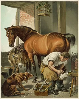 Animals Collection: Blacksmith & Horse 19C