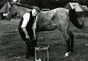 Thorpe Gallery: Blacksmith shoeing a horse