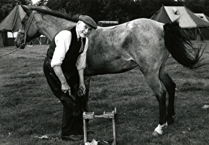 Blacksmith shoeing a horse Blacksmith shoeing a horse