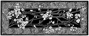 Midgley Collection: Blackthorn