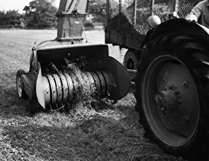 Images Dated 18th March 2011: Blanch Blower