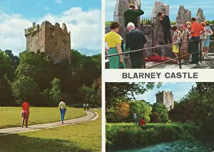 Path Gallery: Blarney Castle, County Cork, Republic of Ireland
