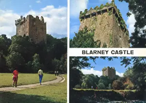 Lean Prints: Blarney Castle, Republic of Ireland
