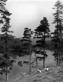 Images Dated 25th November 2016: Blea Tarn, Lake District, Cumbria