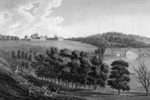 Blenheim Prints: Blenheim Palace, 1787