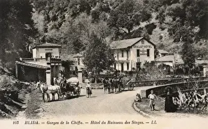 Gorge Prints: Blida, Algeria