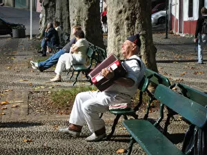 Contented Collection: A blissful accordion player on a park bench in Maderia