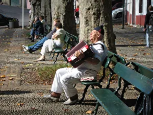 Images Dated 27th August 2019: A blissful accordion player on a park bench in Maderia