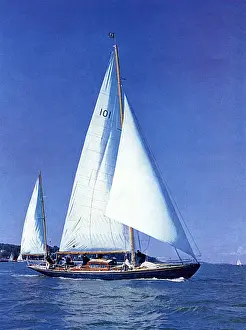 Cowes Prints: Bloodhound racing yacht, Cowes, Isle of Wight