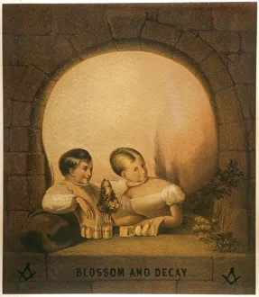 1860 Collection: Blossom and Decay
