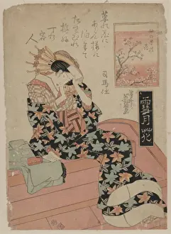 Blossom Prints: Blossom of Nakanocho