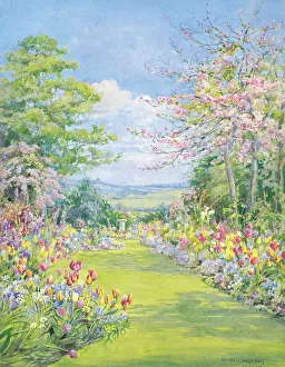 Blossom time