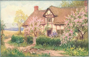 The J Salmon Archive Collection Prints: Blossom Time at Cropthorne, Worcestershire
