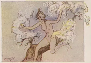 Blossoms