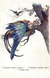 Branch Collection: Blue Bird (Bird Sirin) - Sergey Solomko