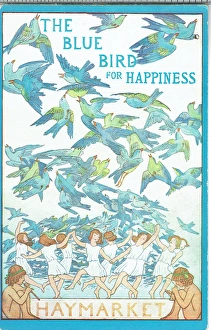 Images Dated 6th October 2016: The Blue Bird for Happiness by M. Maeterlinck