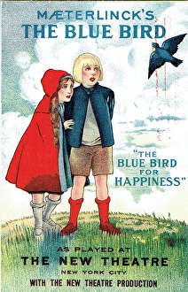 Bluebird Gallery: The Blue Bird for Happiness by M. Maeterlinck