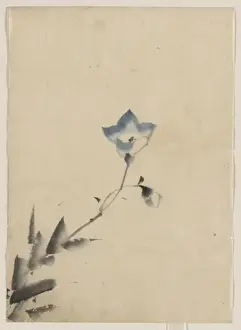 Stem Prints: Blue blossom at the end of a stem