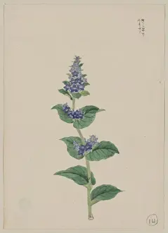 Stalk Prints: Blue blossoms on stalk with leaves