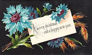 Blue cornflowers on a Christmas card
