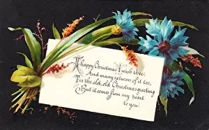 Cornflowers Prints: Blue cornflowers on a Christmas card