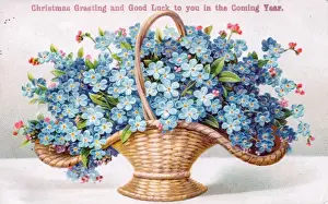 Forgetmenot Prints: Blue flowers in a basket on a Christmas and New Year card