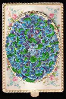 Forgetmenots Prints: Blue forgetmenots on a greetings card