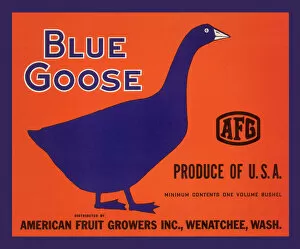 Images Dated 21st August 2020: Blue Goose Label